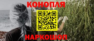 индика Аргун