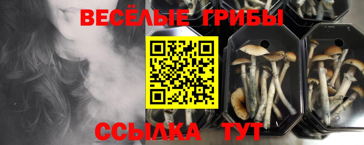 Галлюциногенные грибы ЛСД Богданович